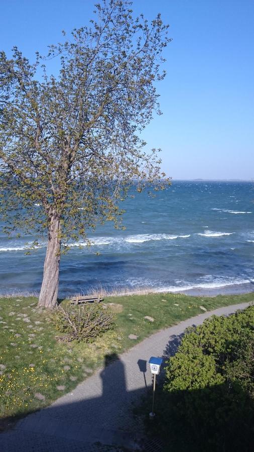 Strandappartement Steinberghaff "Zur Birk" Mit Meerblick 스타인베르크 외부 사진