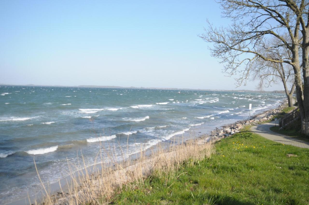 Strandappartement Steinberghaff "Zur Birk" Mit Meerblick 스타인베르크 외부 사진